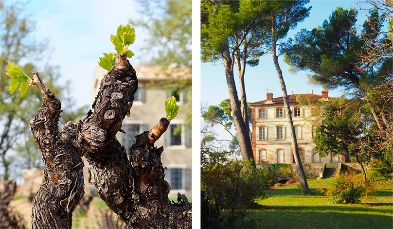 chateau, bois ,arlène, domaine viticole, vacqueyras